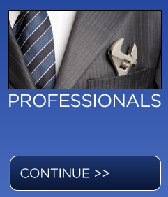 Professionals